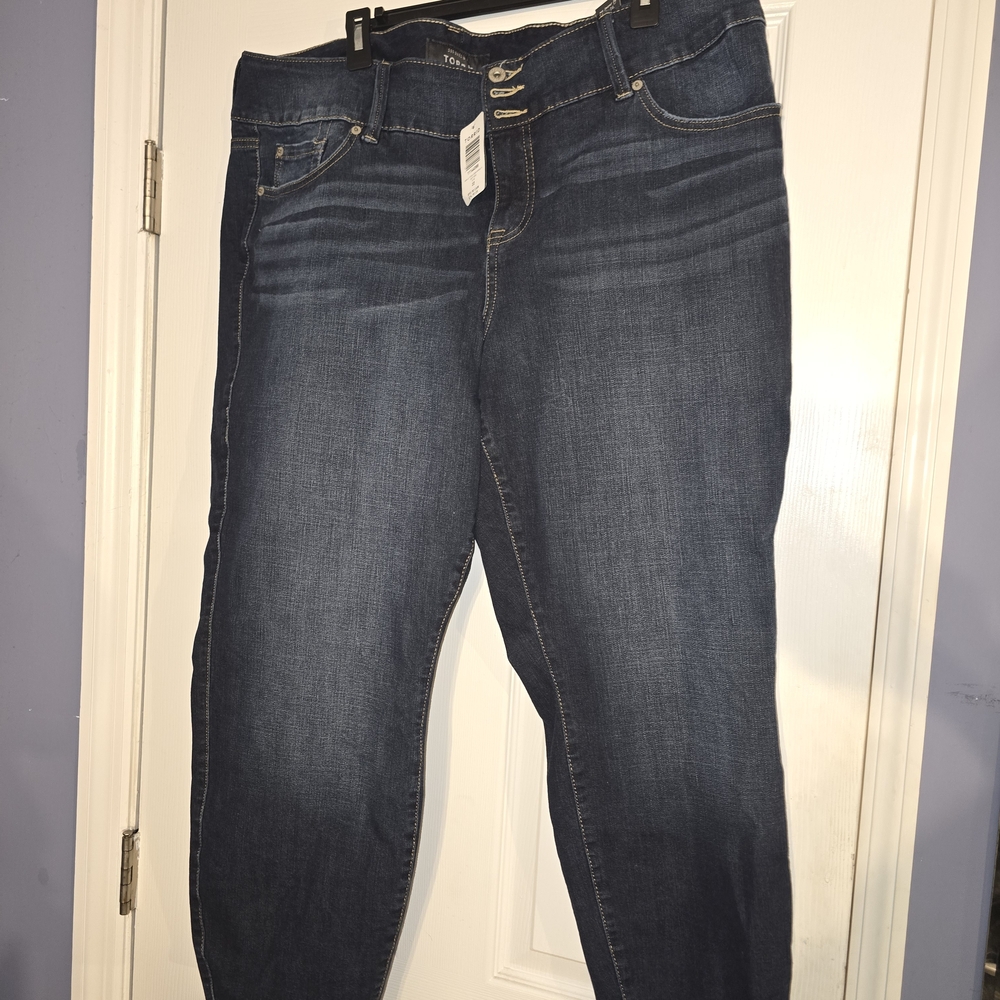 Torrid Dark Indigo Jeggings